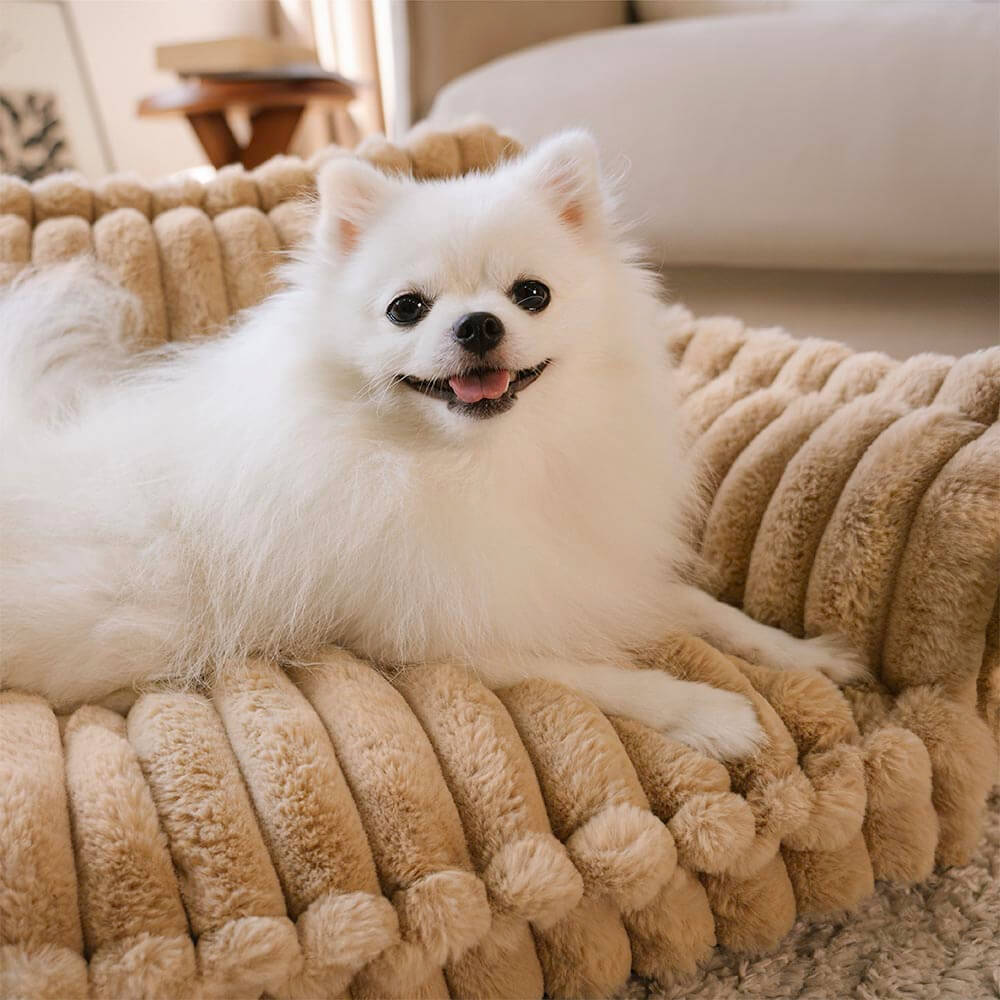 Contemporary Plush Dog Sofa Bed With Neck Support