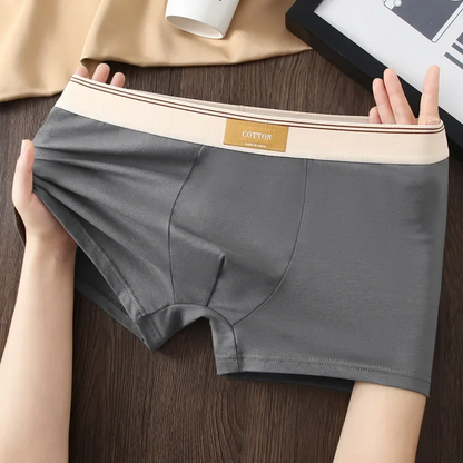 Noah Fitted Boxer Briefs Three-Piece Set | Solid Short Boxer Briefs